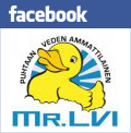 Mr. Lvi Facebook -sivut